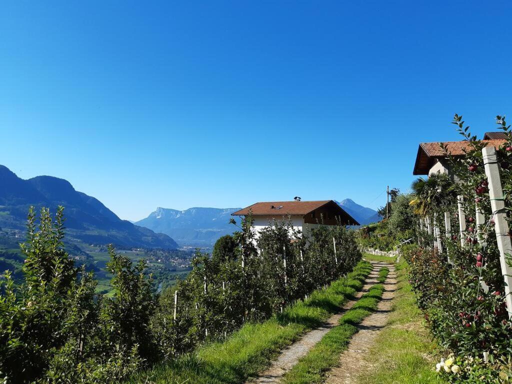 Panoramawohnung Annaheim Rifiano Ngoại thất bức ảnh